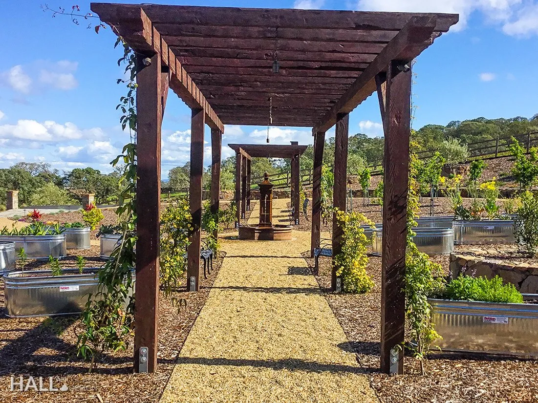 Paths & Walkways by Hall Landscape Design — Sonoma, CA