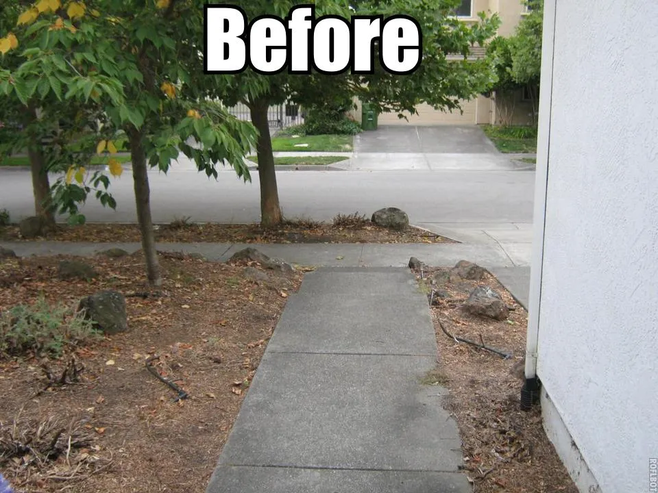 Before — the original yard in Petaluma