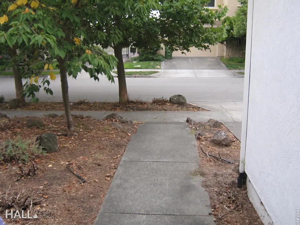 Before — the original yard in Petaluma