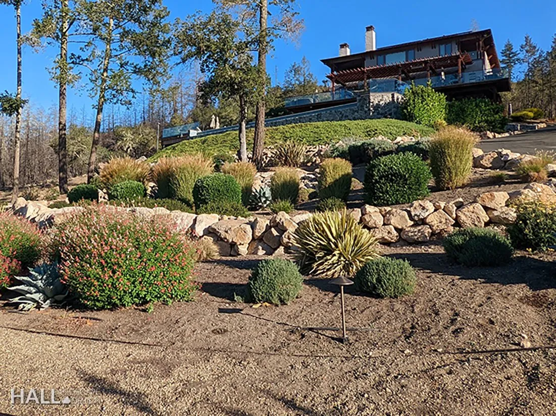 Planting Design by Hall Landscape Design — Napa Valley & North Bay