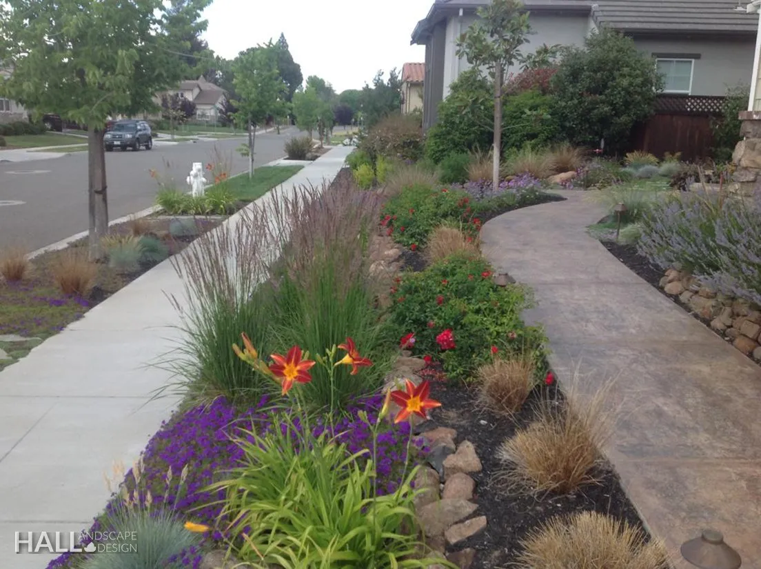 Planting Design by Hall Landscape Design — Napa Valley & North Bay