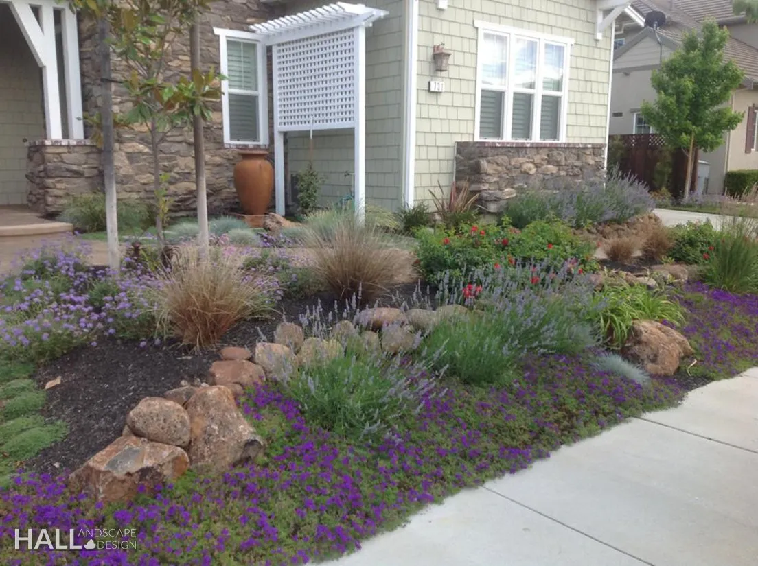 Planting Design by Hall Landscape Design — Napa Valley & North Bay