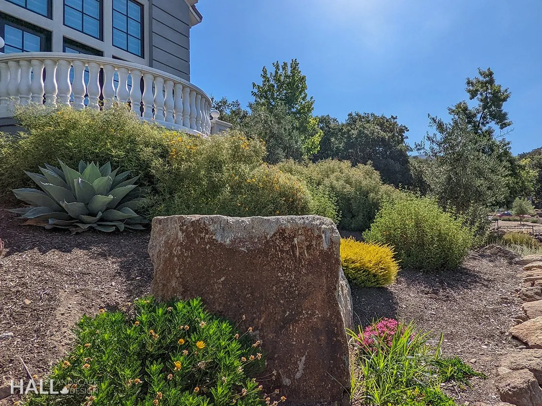 Planting Design by Hall Landscape Design — Napa Valley & North Bay