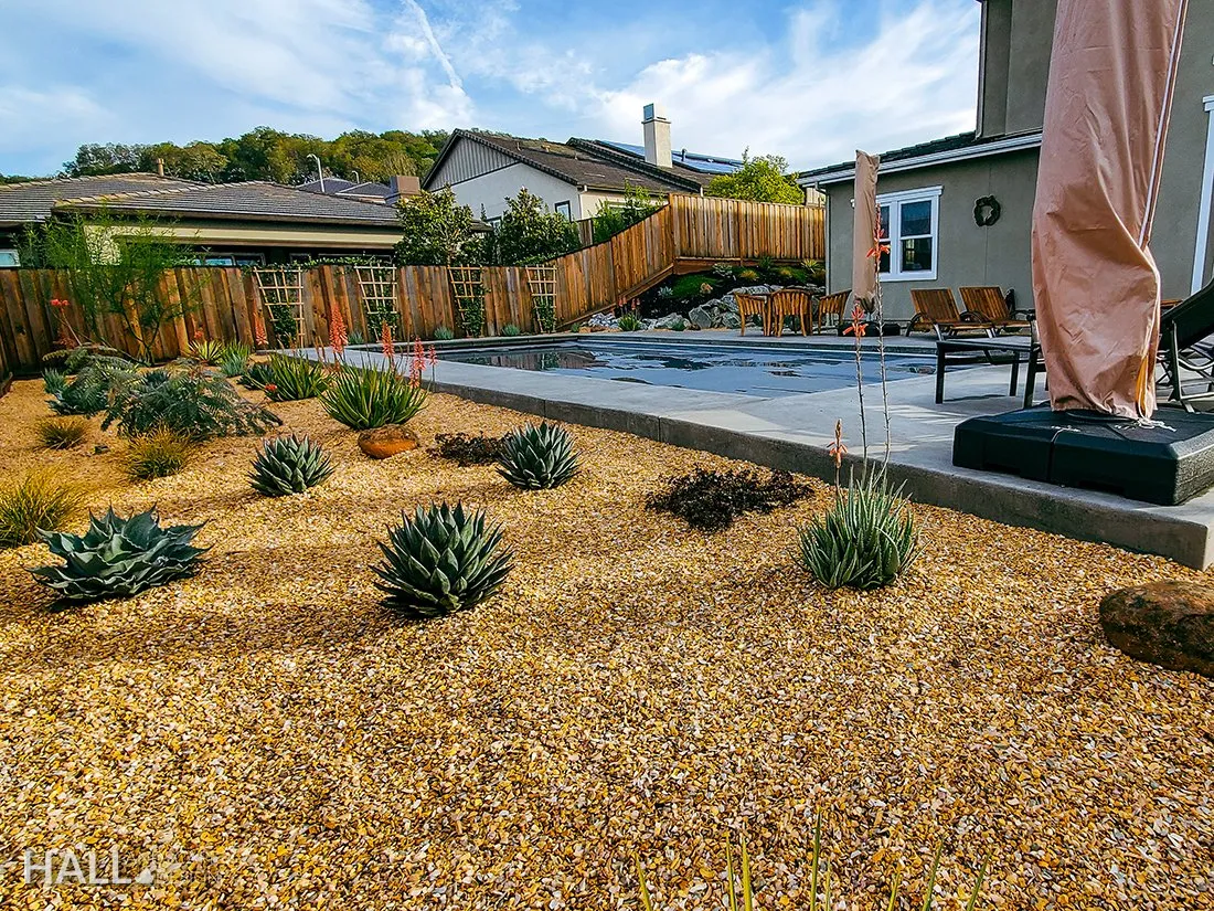 Planting Design by Hall Landscape Design — Napa Valley & North Bay