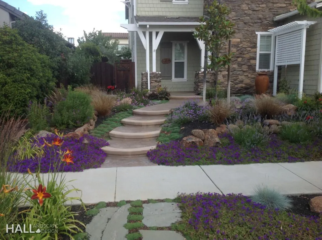 Planting Design by Hall Landscape Design — Napa Valley & North Bay