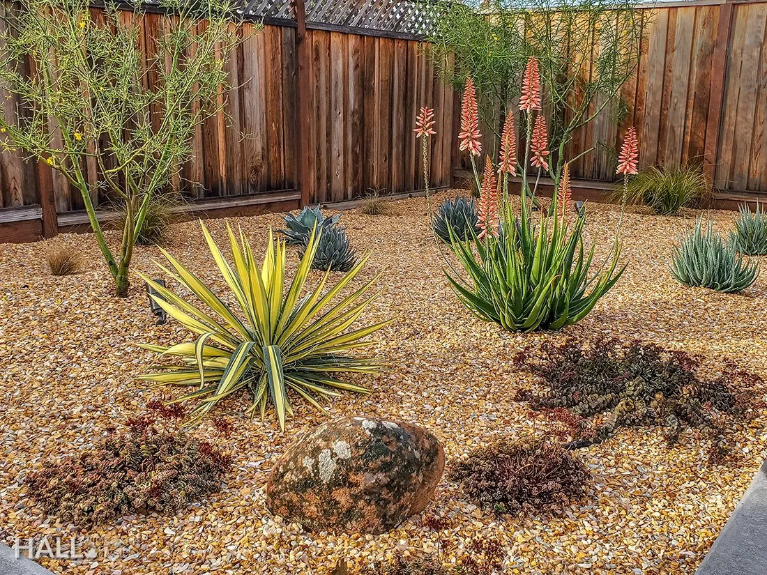 Planting Design by Hall Landscape Design — Napa Valley & North Bay