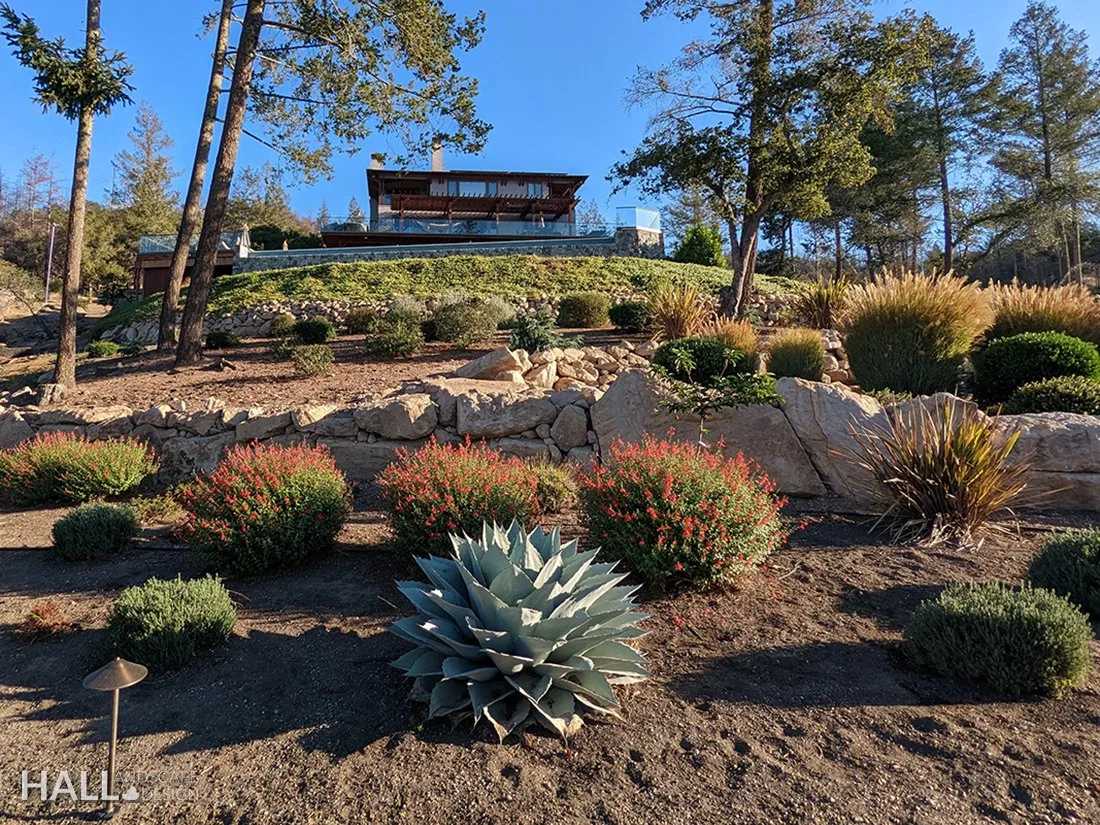 Planting Design by Hall Landscape Design — Napa Valley & North Bay