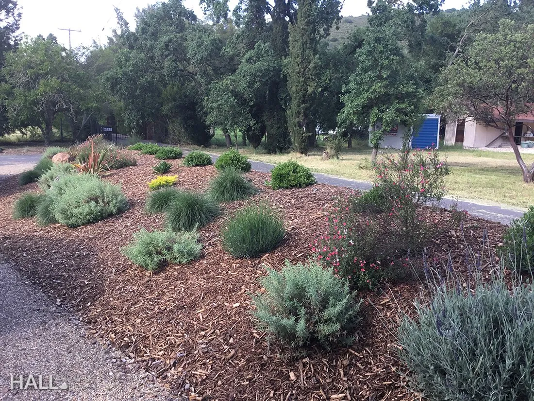 Planting Design by Hall Landscape Design — Napa Valley & North Bay