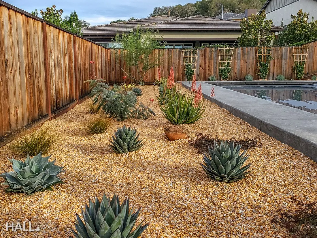 Planting Design by Hall Landscape Design — Napa Valley & North Bay