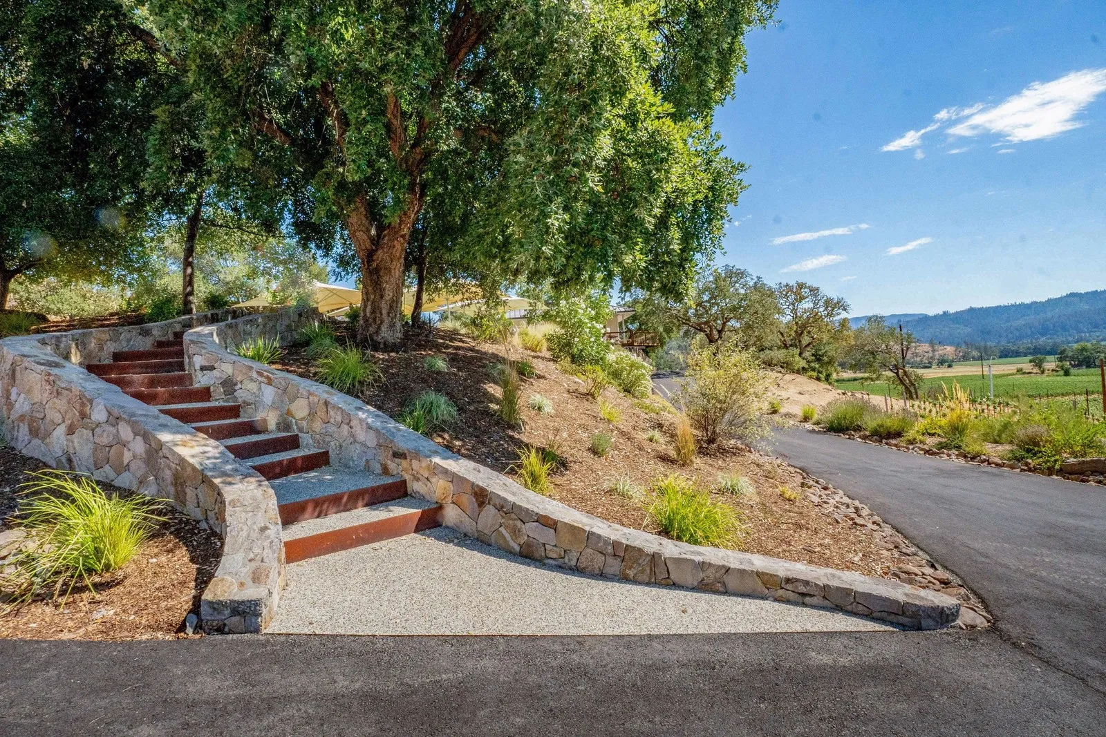 After — Bare hillside → stone-terraced garden entry with vineyard views in St. Helena