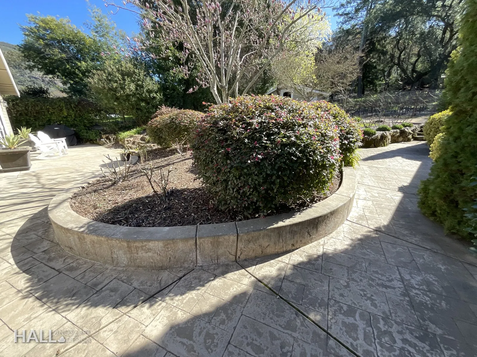 Before — the original yard in San Rafael