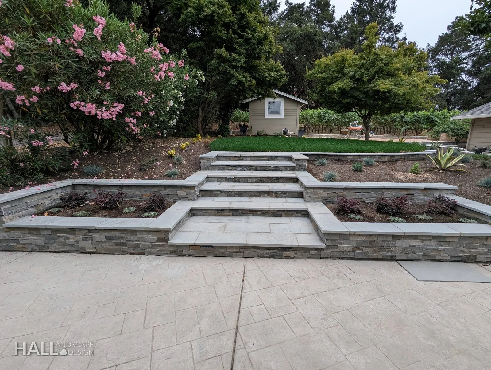 After — Crumbling rock steps → stone terraces, wide steps & planting beds in San Rafael