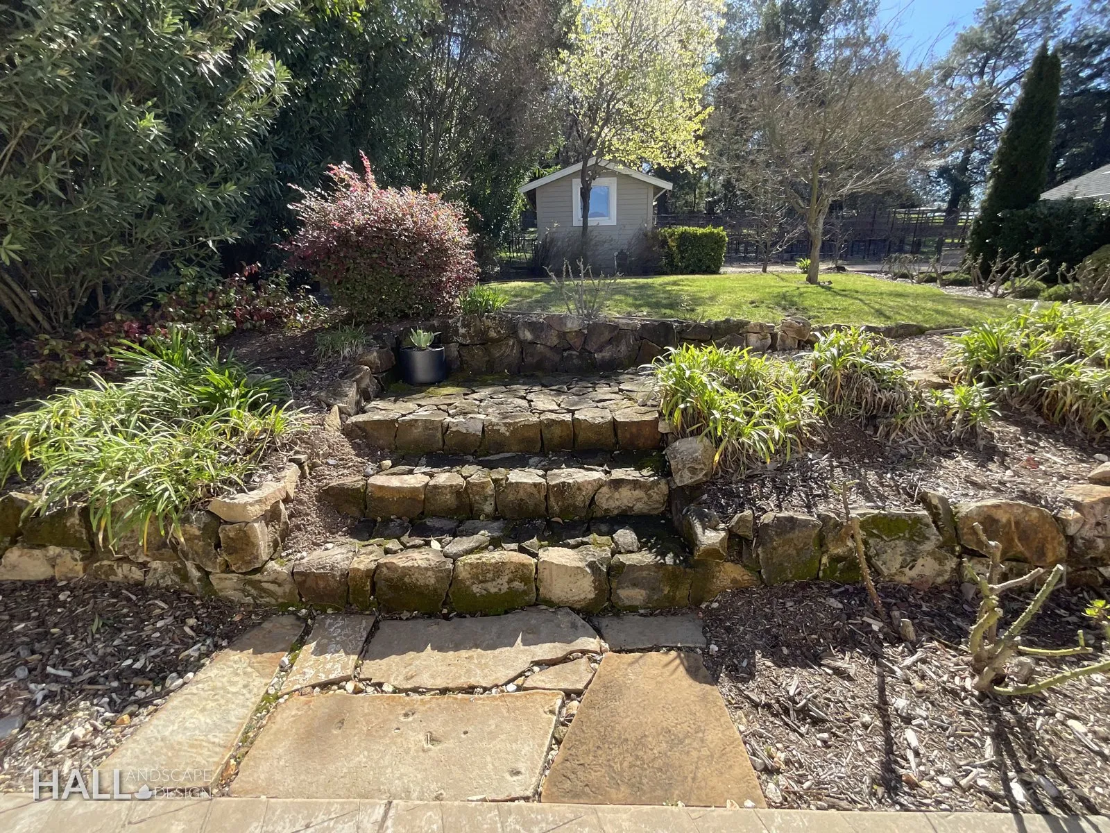 Before — the original yard in San Rafael