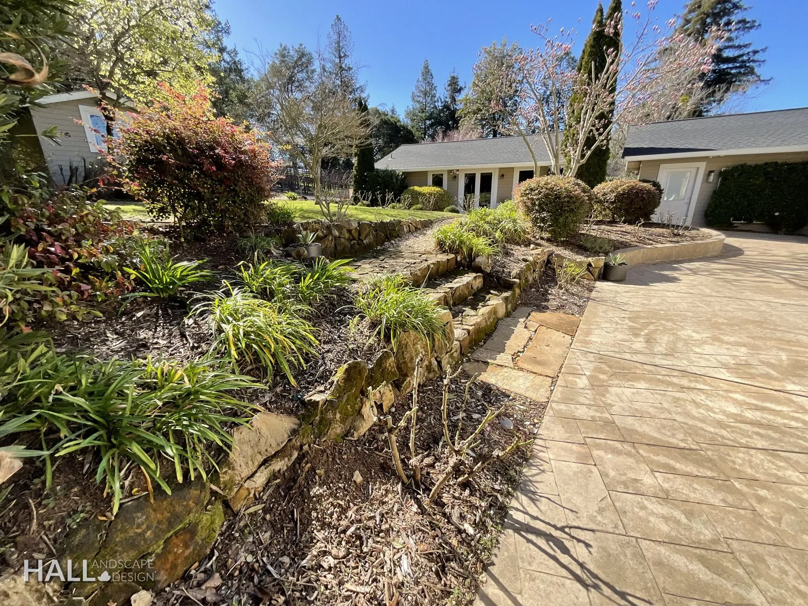 Before — the original yard in San Rafael
