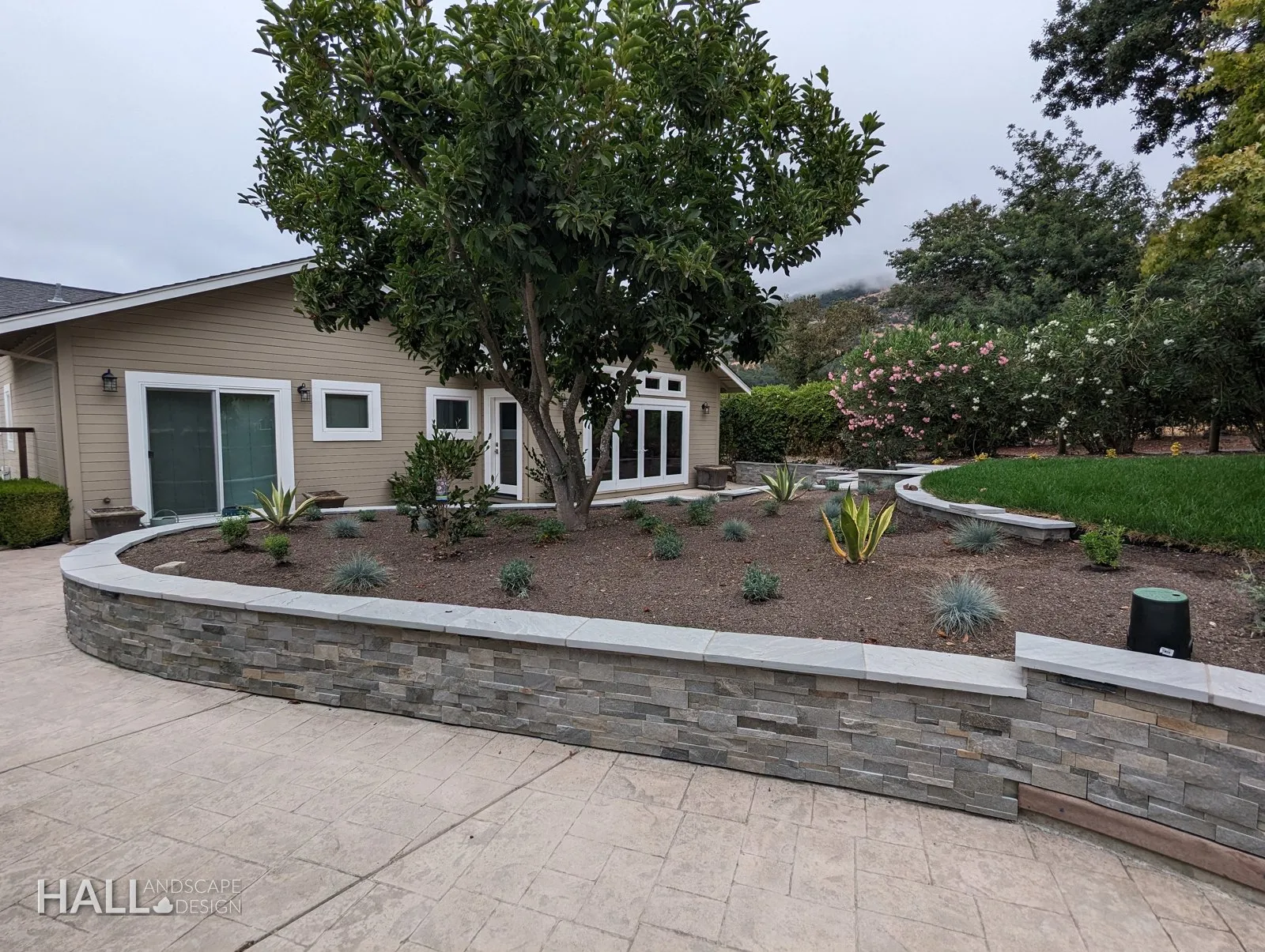 After — Overgrown bank → low stone wall, agaves & a widened driveway in San Rafael
