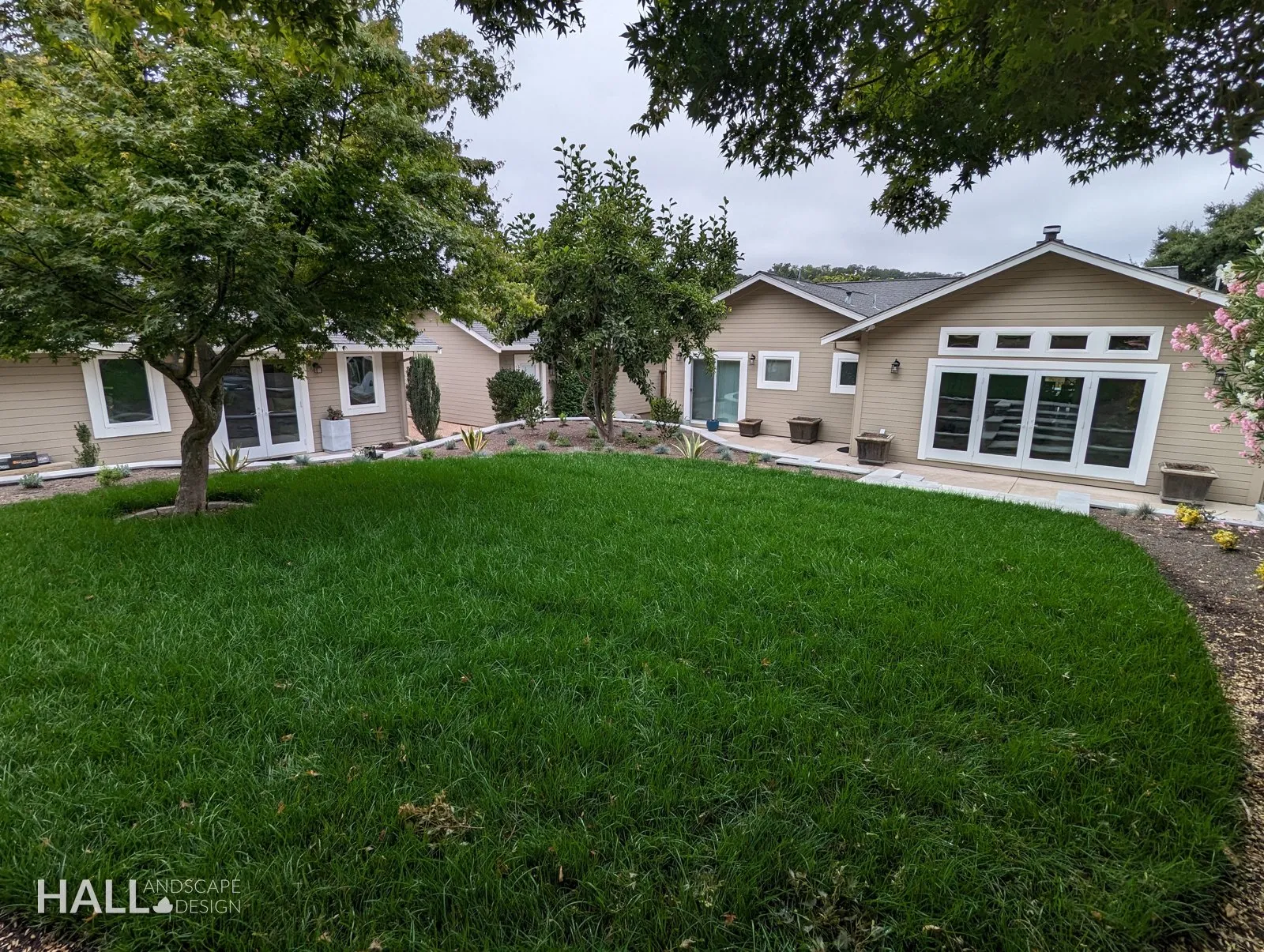 After — Patchy lawn → fresh lawn wrapped in a gravel path & border in San Rafael