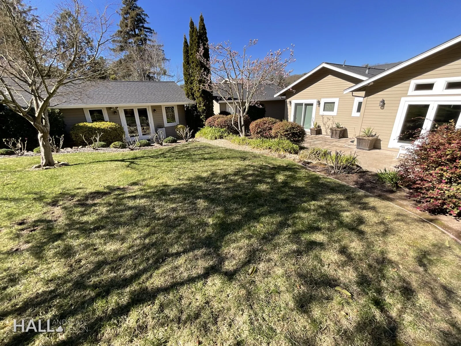 Before — the original yard in San Rafael