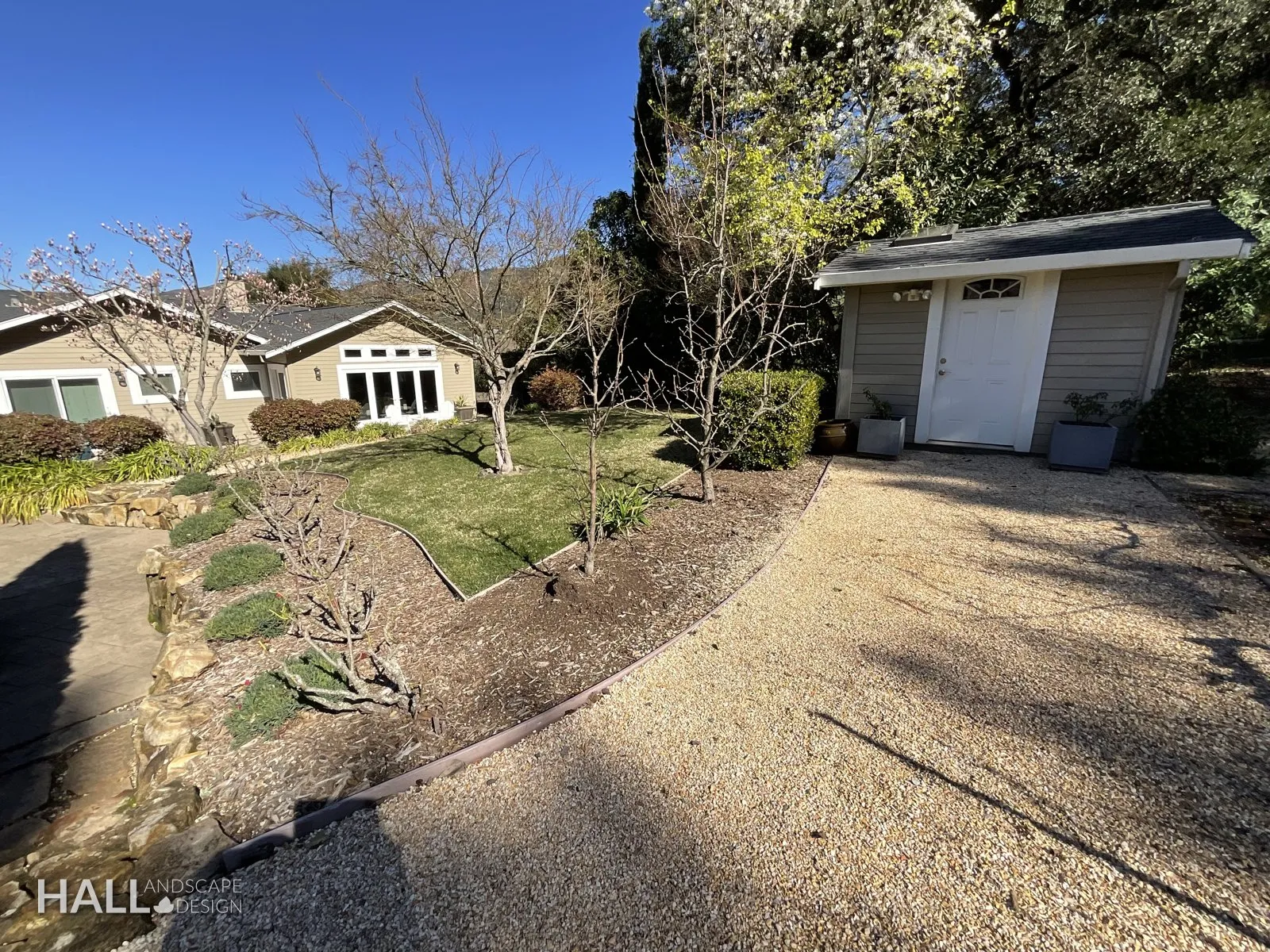 Before — the original yard in San Rafael