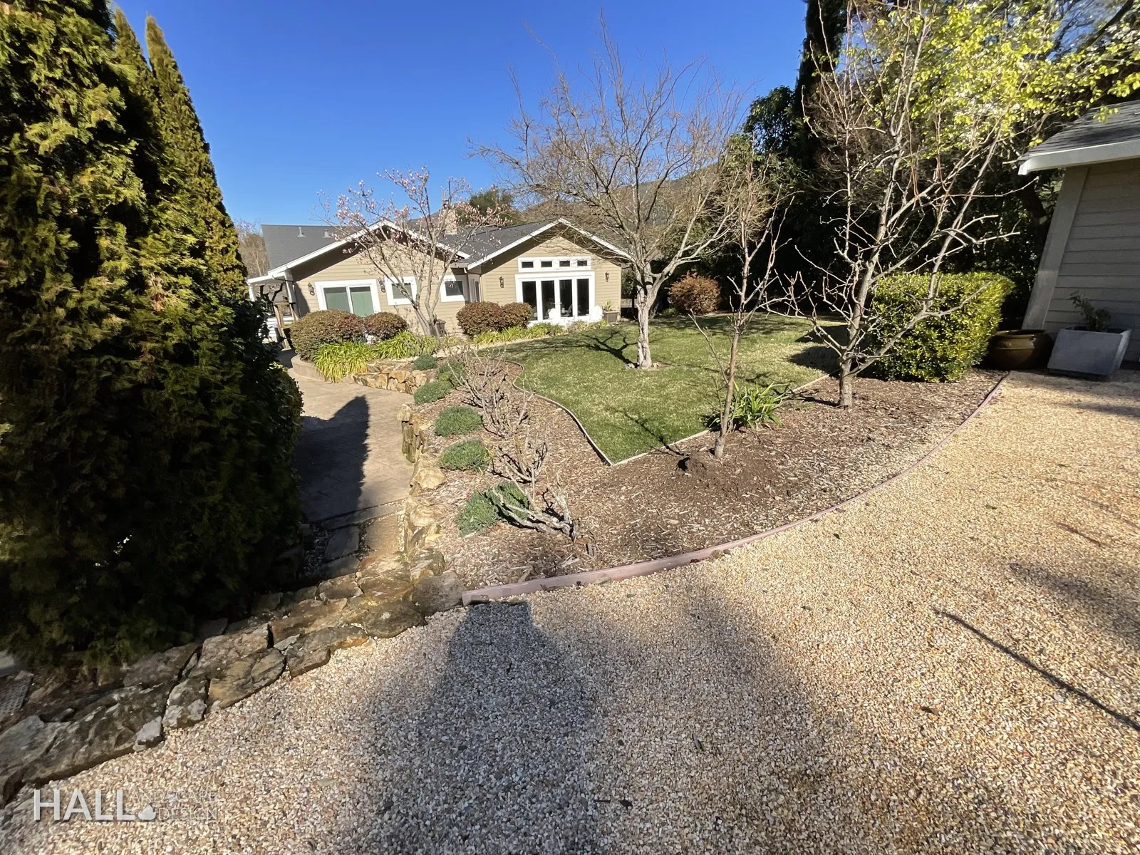 Before — the original yard in San Rafael