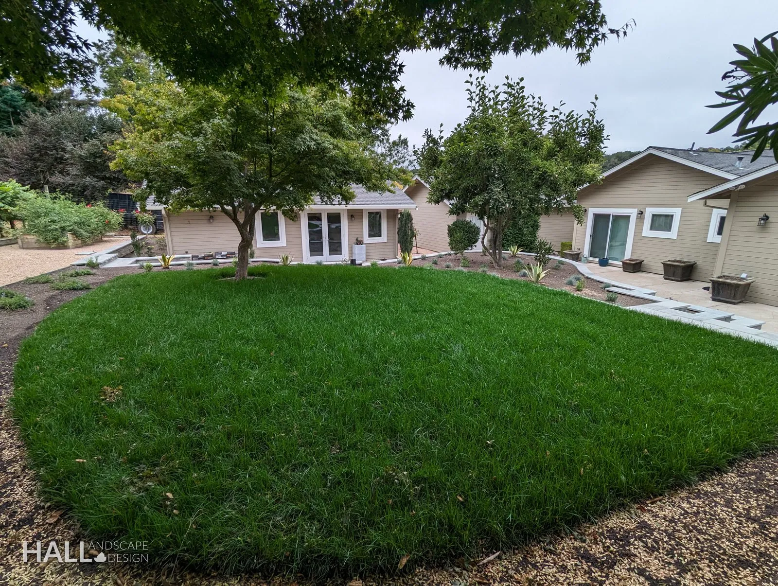 After — Dry lawn & rock edge → new lawn with a clean mowing strip in San Rafael