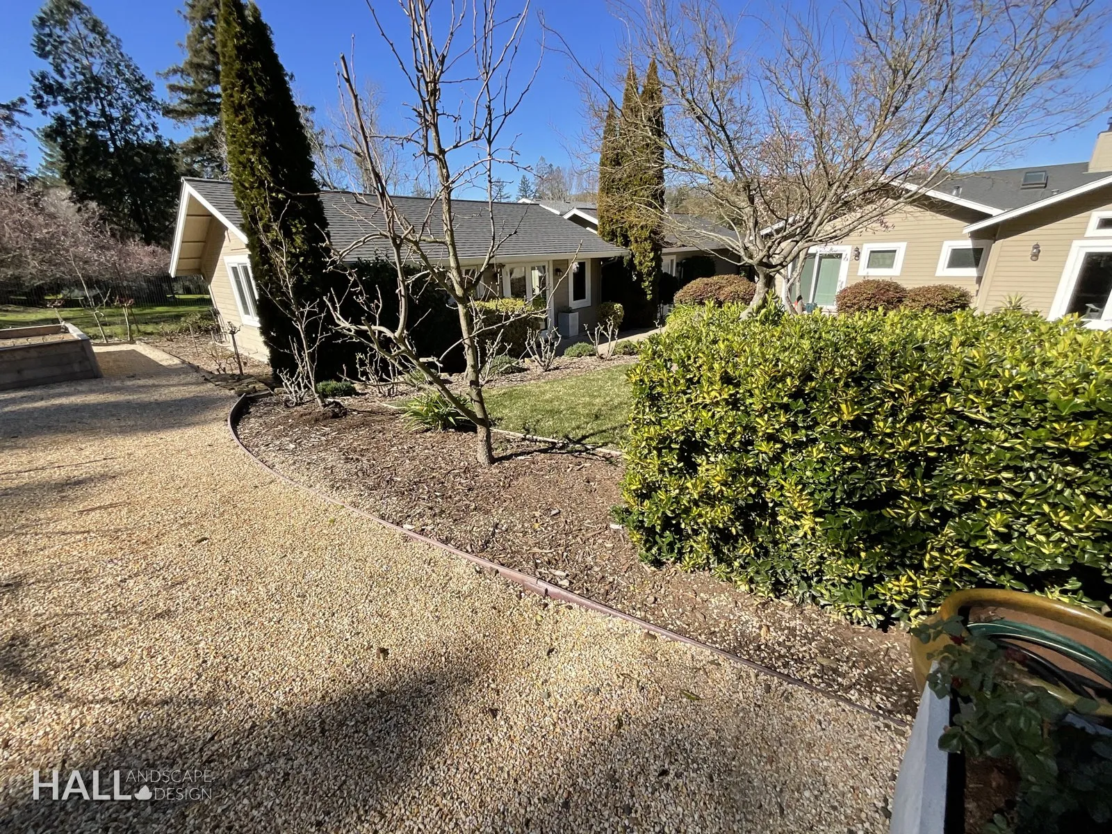 Before — the original yard in San Rafael