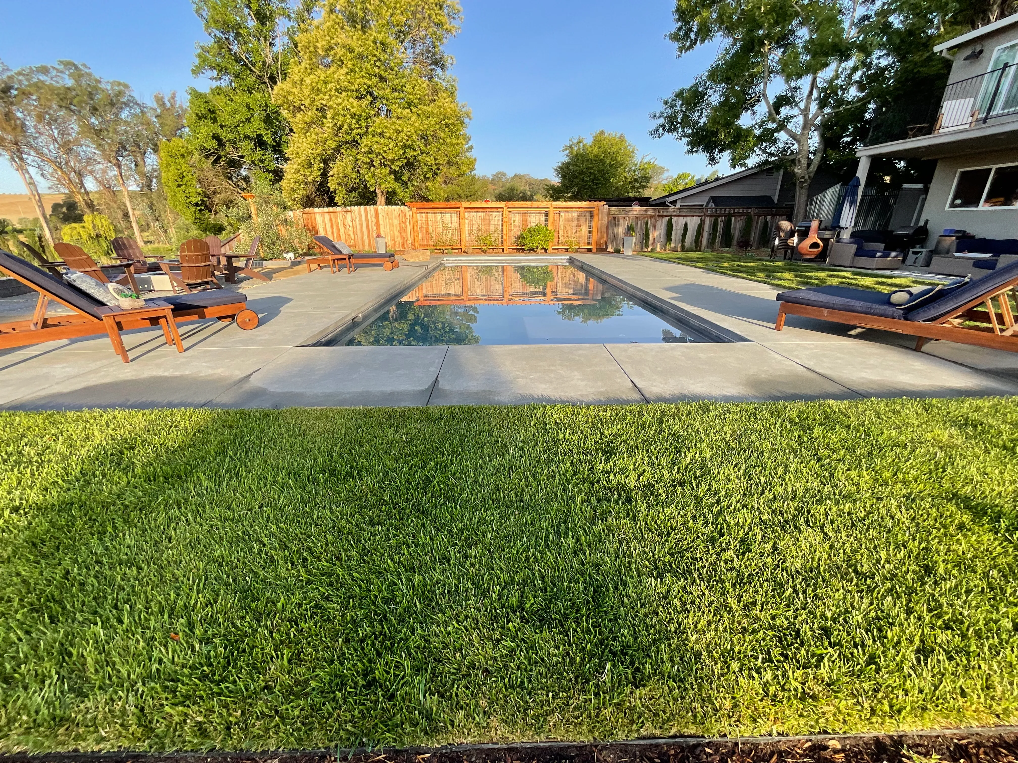 Before — the original yard in San Rafael