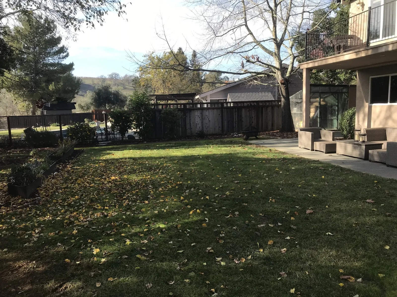 Before — the original yard in San Rafael