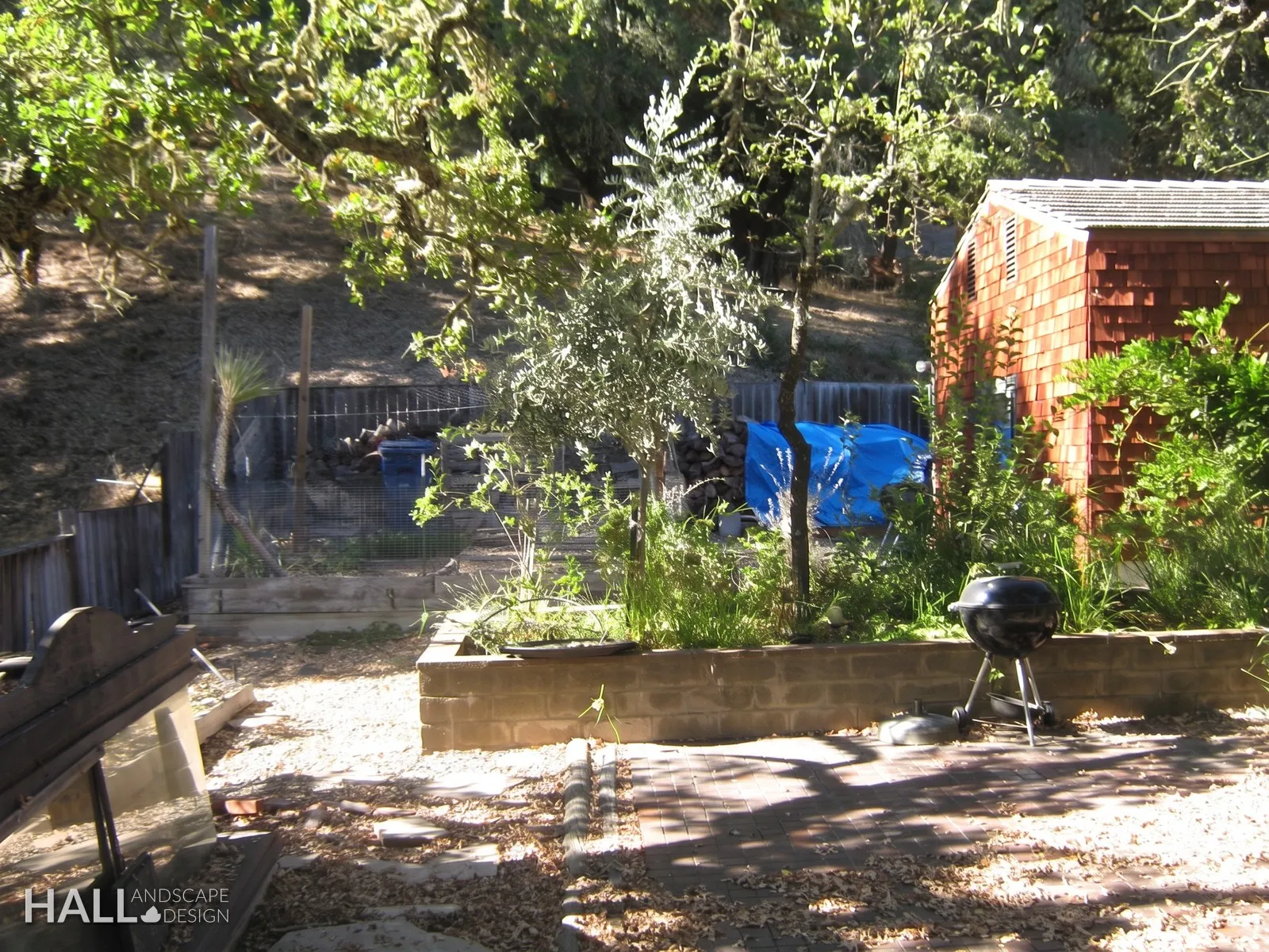 Before — the original yard in Santa Rosa