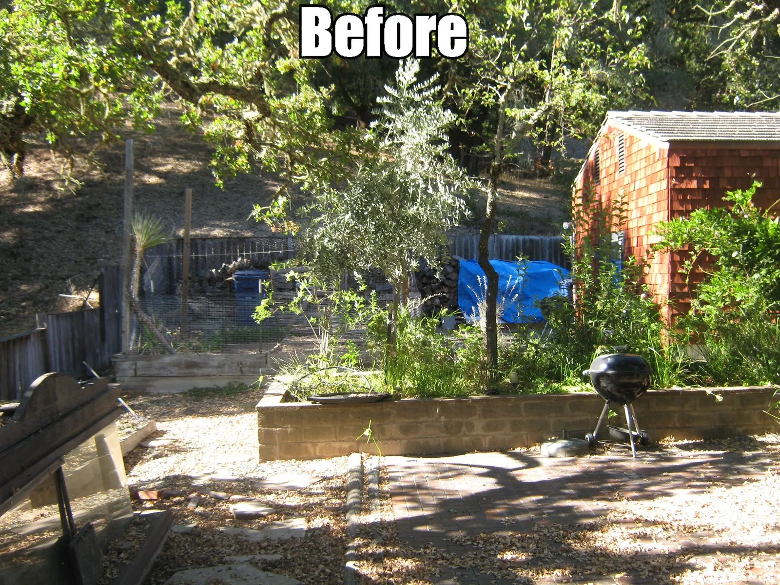 Before — the original yard in Santa Rosa