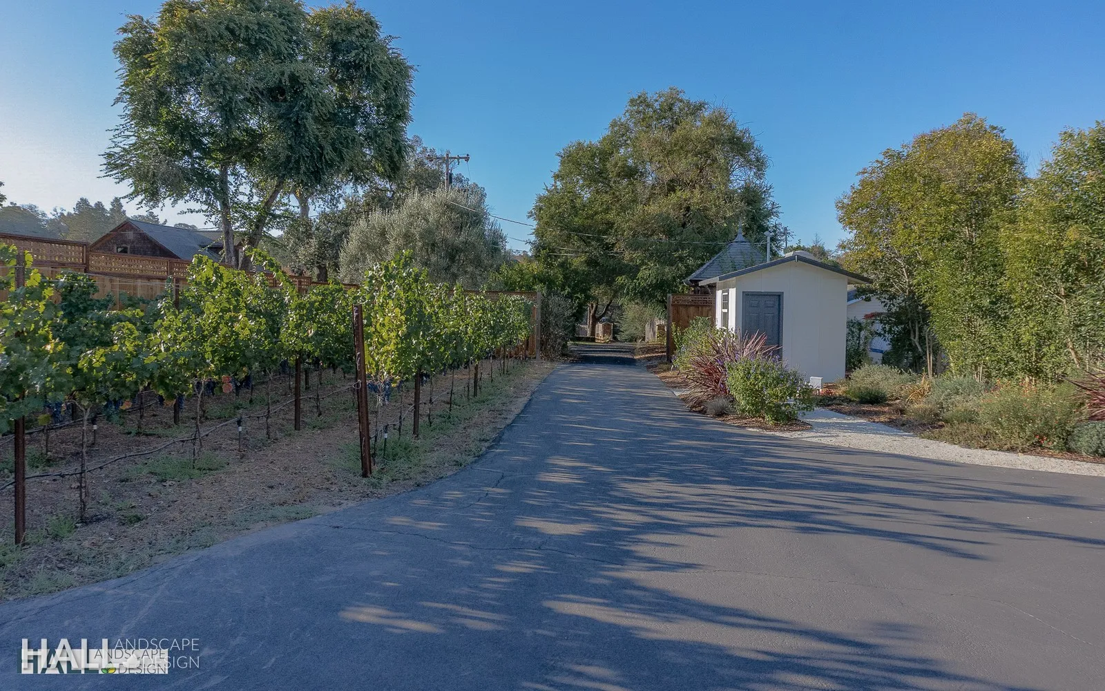 After — Construction driveway → paved vineyard lane in Santa Rosa