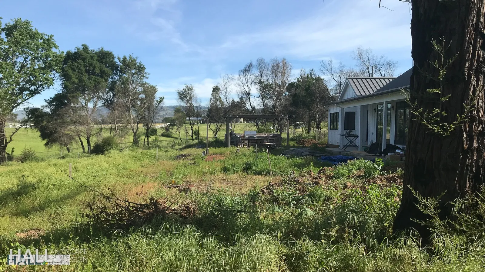 Before — the original yard in Santa Rosa