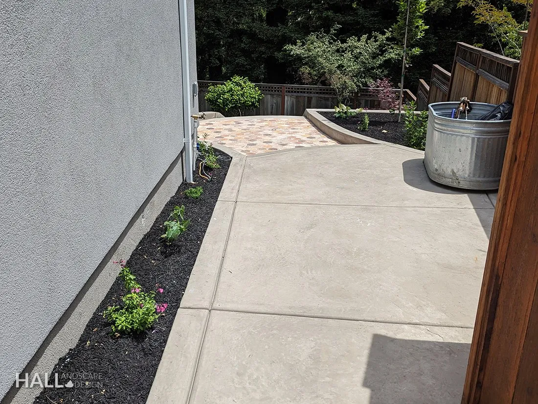 After — Dirt side yard by the bins → poured path, planting strip & a stock-tank planter in Sausalito