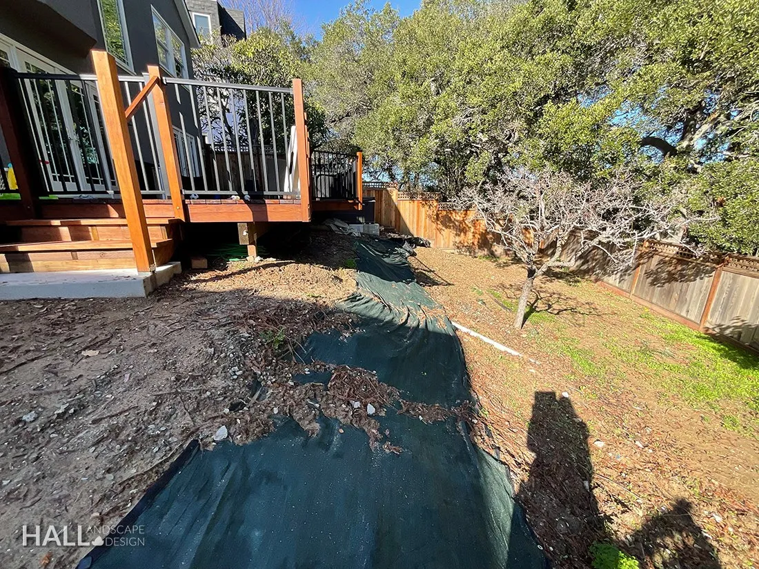 Before — the original yard in Sausalito
