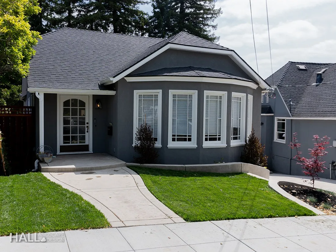 After — New-build front → lawn panels, a poured entry walk & young maples in Sausalito