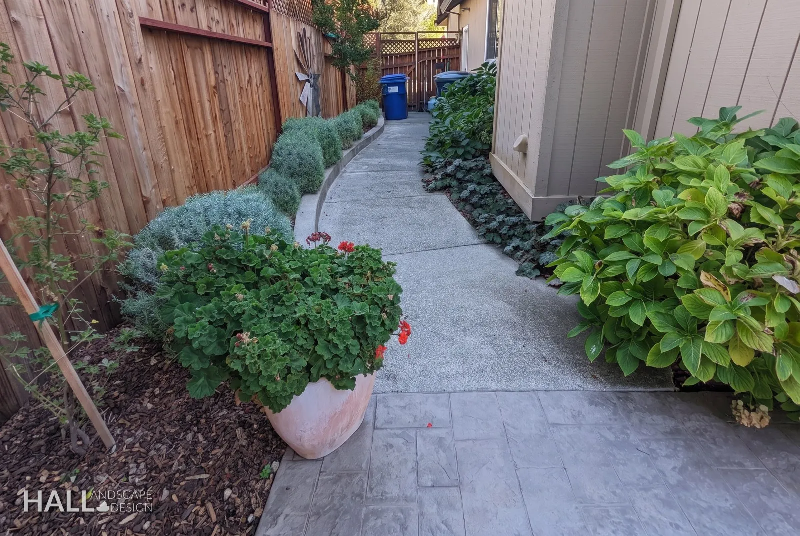 After — Bins on a bare side path → planted walk with a new concrete curb in Sonoma