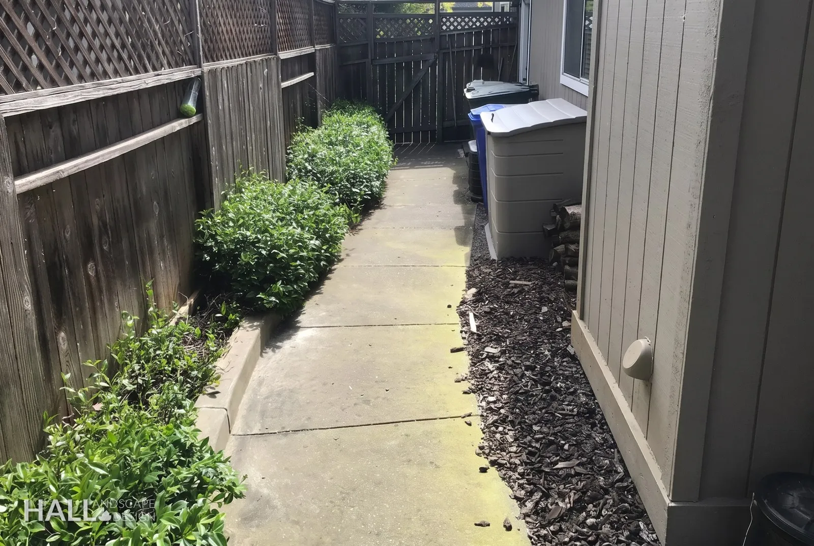 Before — the original yard in Sonoma
