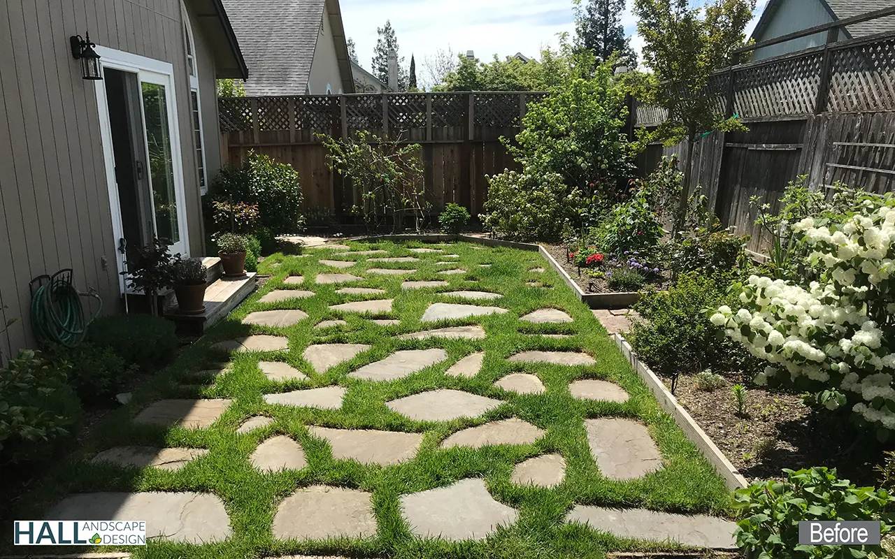 Before — the original yard in Sonoma