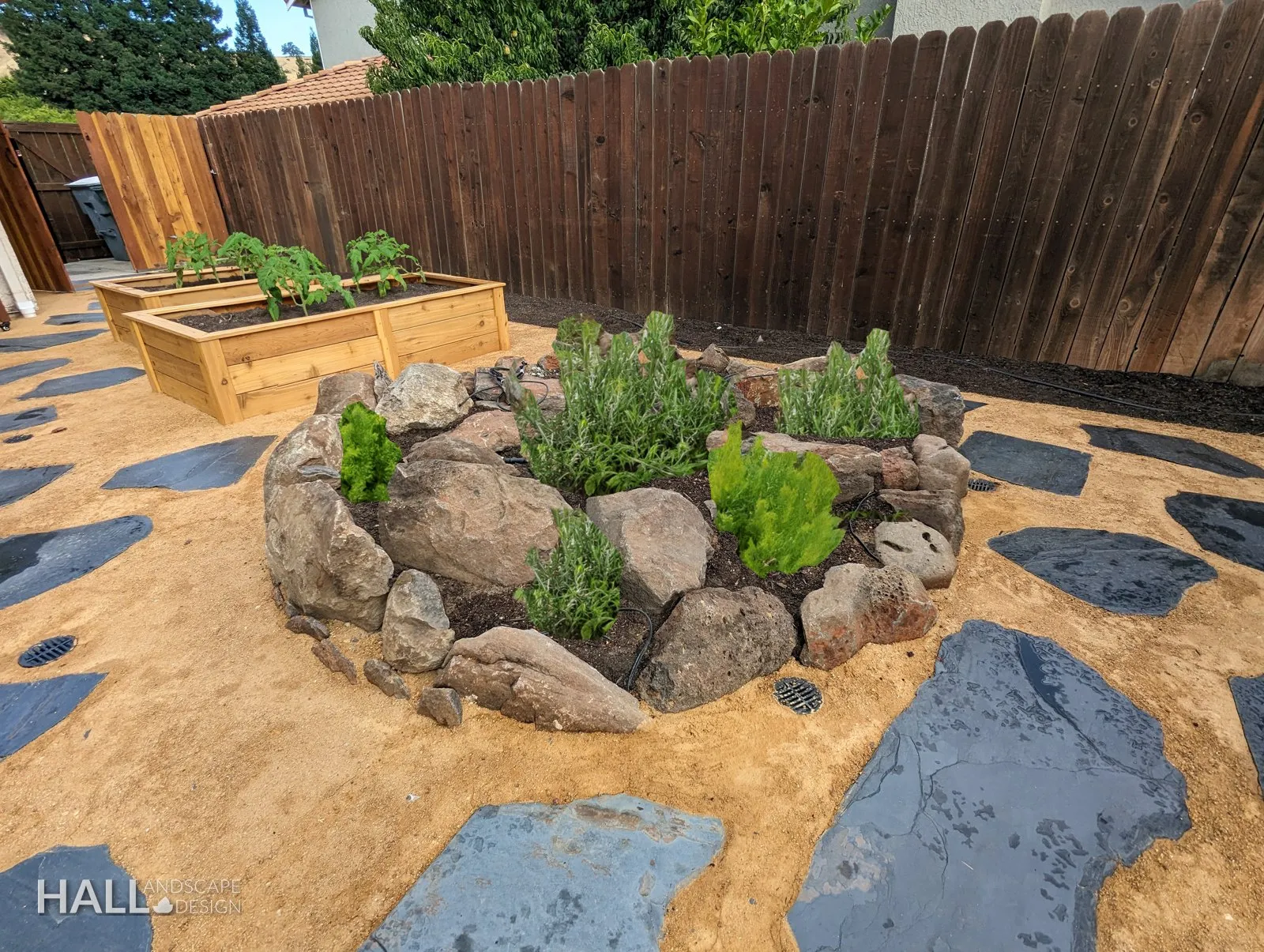 After — Concrete side yard → raised veggie beds, herb ring & flagstone paths in Suisun City