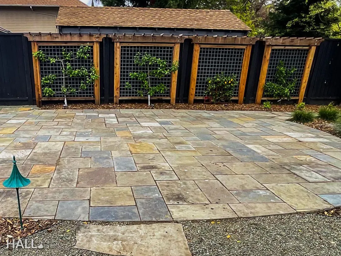 Trellising by Hall Landscape Design — Napa Valley & North Bay