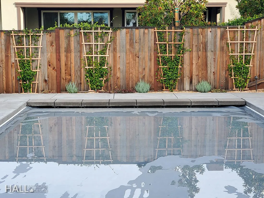 Trellising by Hall Landscape Design — Napa Valley & North Bay
