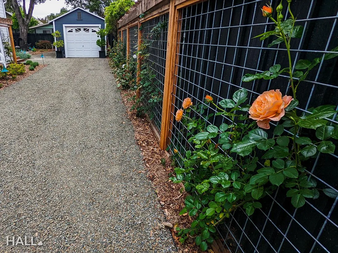 Trellising by Hall Landscape Design — Napa Valley & North Bay
