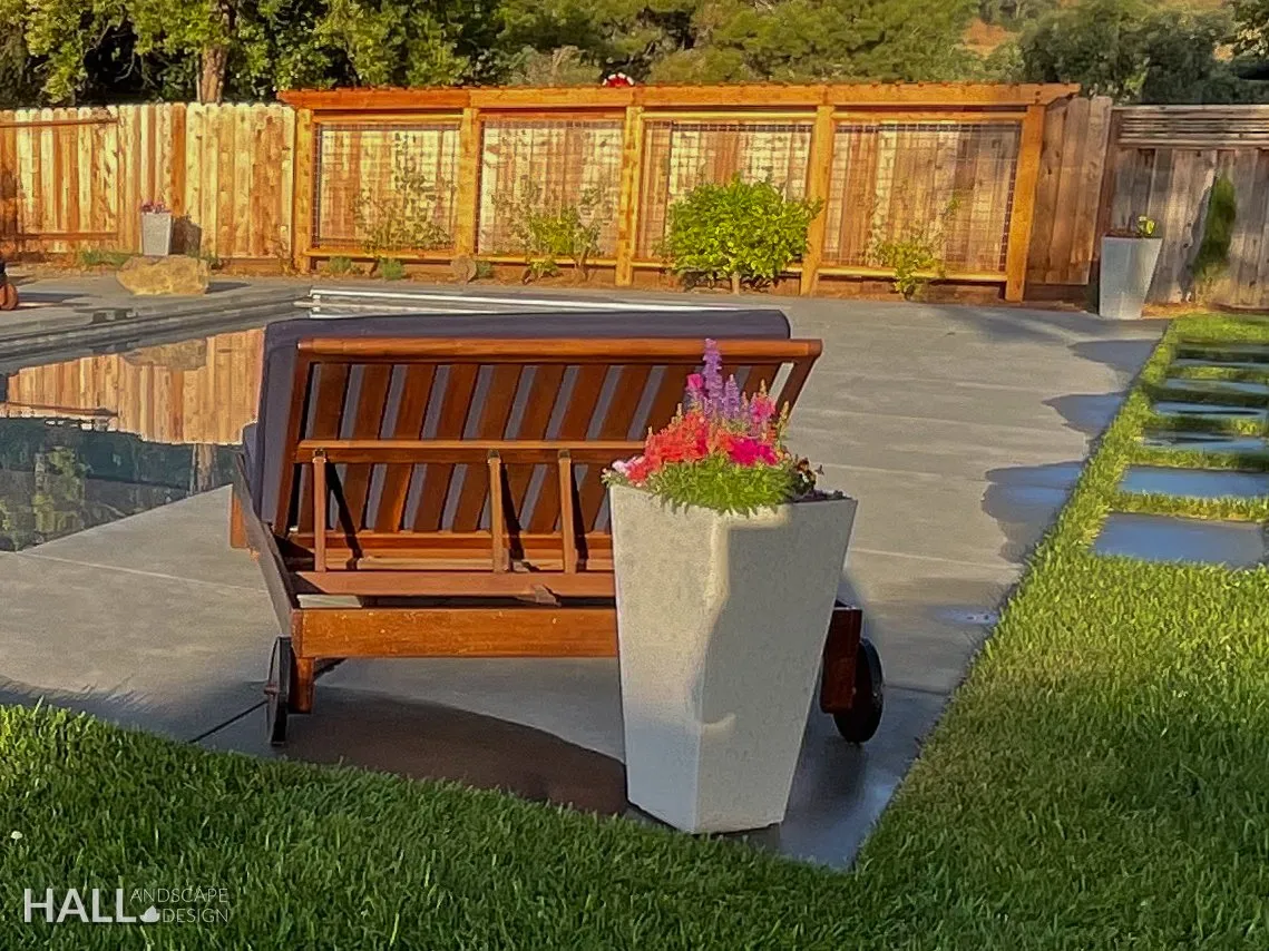 Trellising by Hall Landscape Design — Napa Valley & North Bay