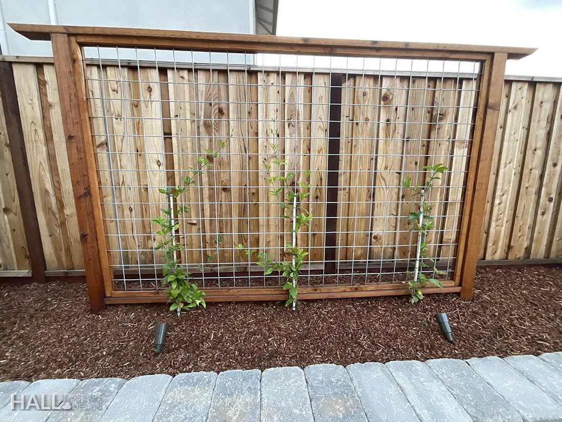 Trellising by Hall Landscape Design — Napa Valley & North Bay