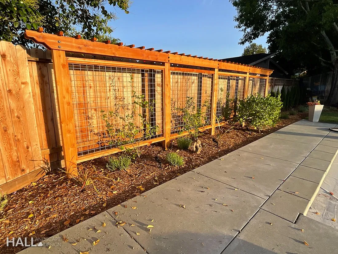 Trellising by Hall Landscape Design — Napa Valley & North Bay