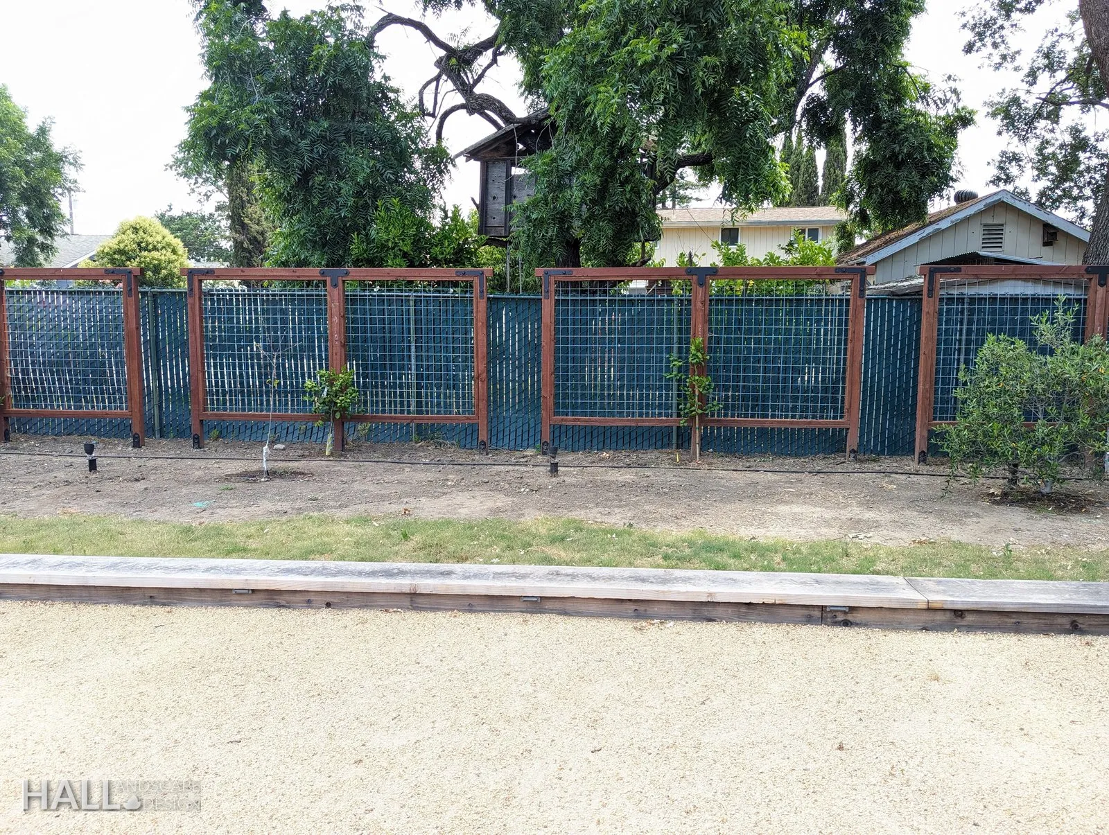 Trellising by Hall Landscape Design — Napa Valley & North Bay