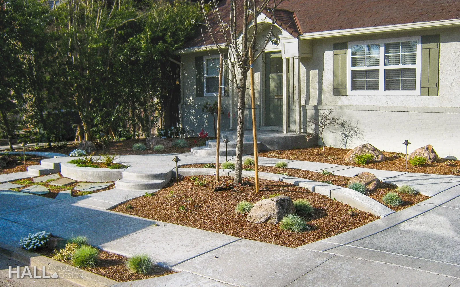 After — Front lawn → sculpted water-wise entry garden in Vacaville