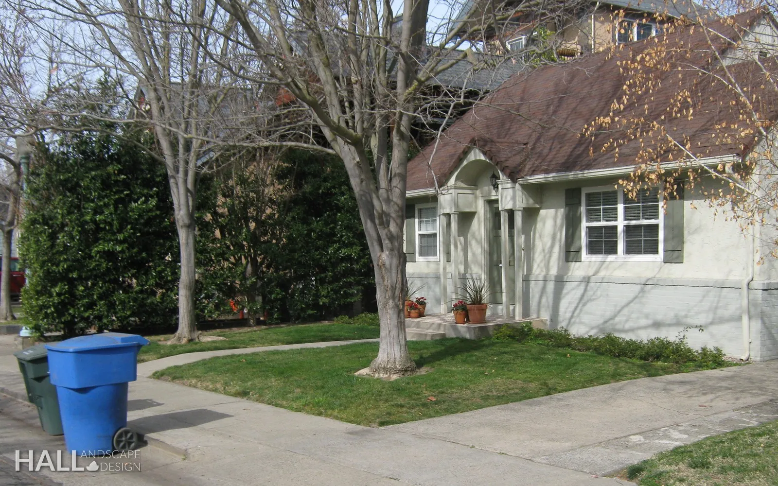 Before — the original yard in Vacaville