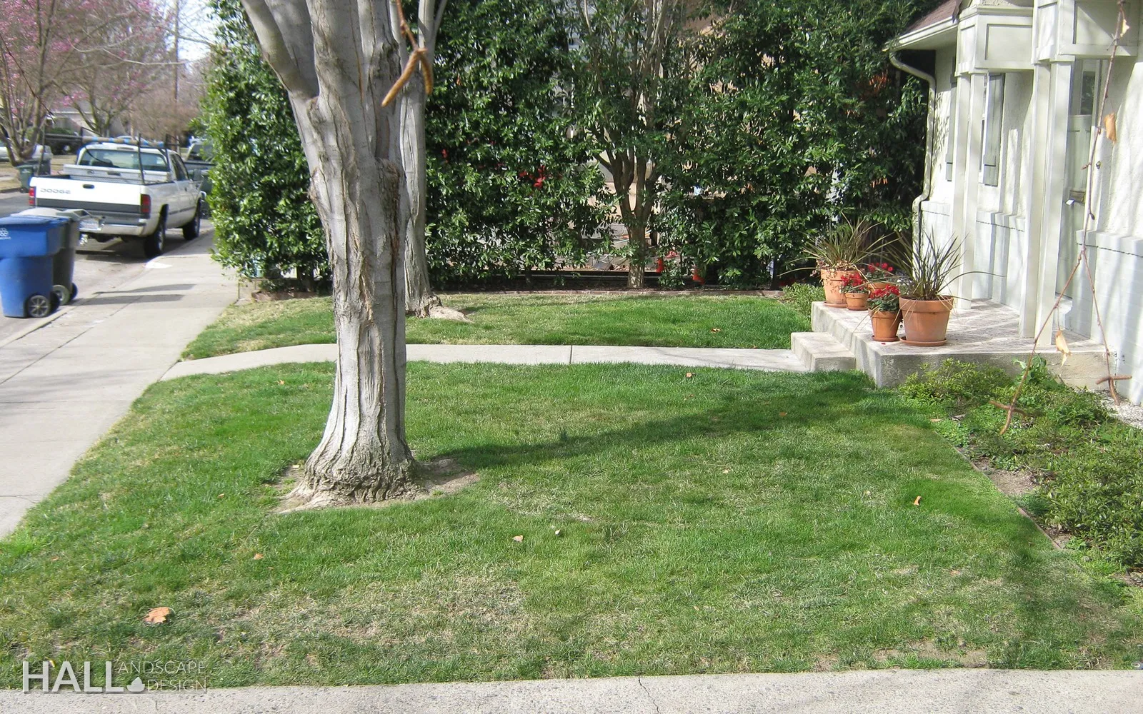 Before — the original yard in Vacaville