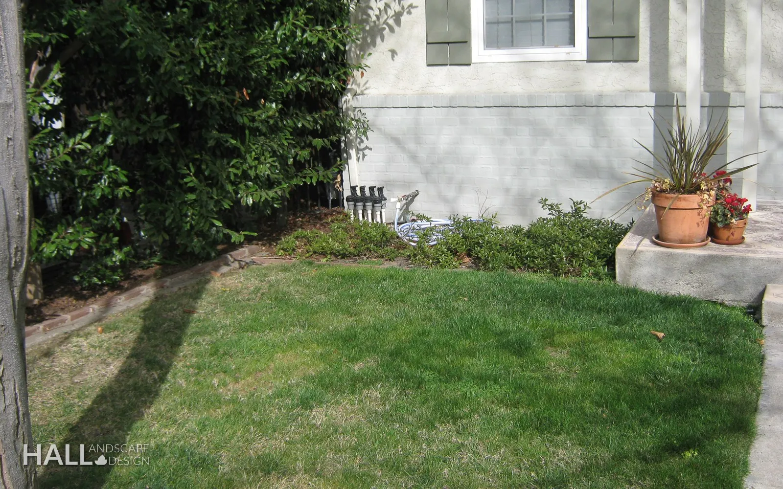 Before — the original yard in Vacaville