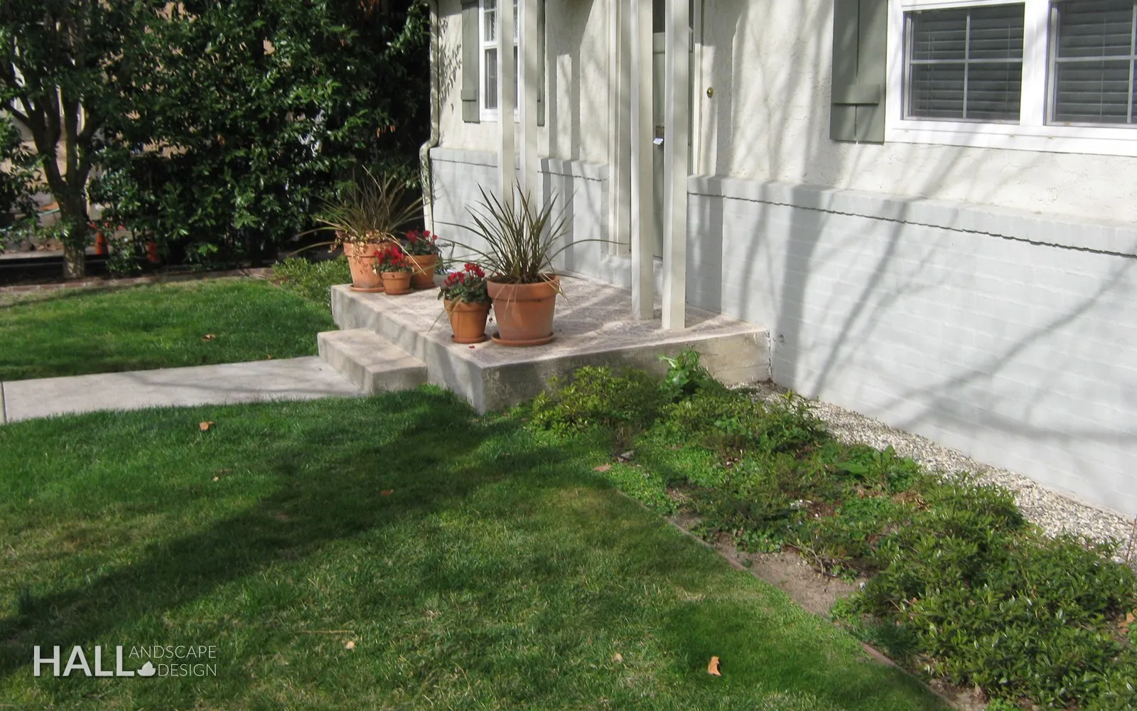Before — the original yard in Vacaville
